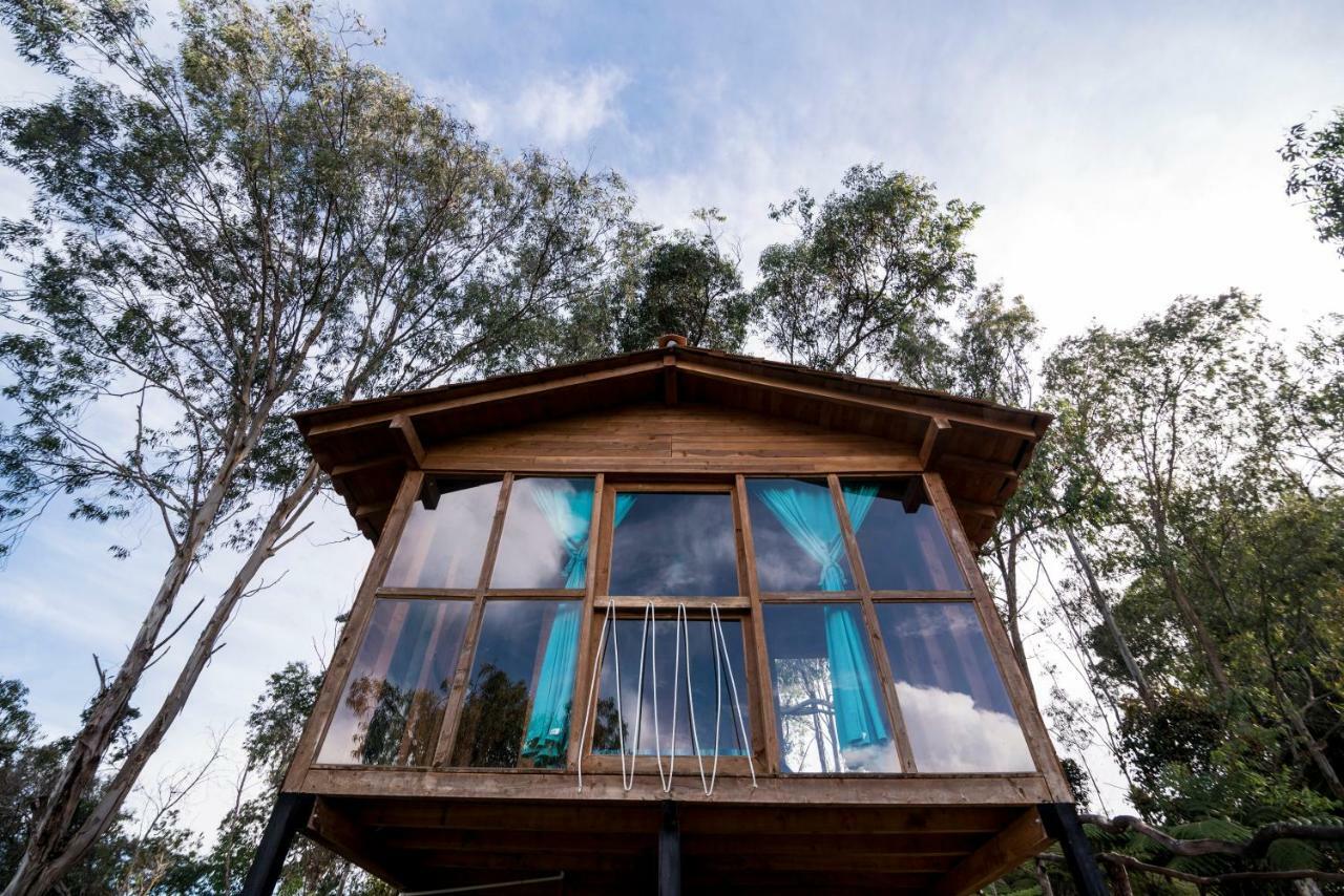 Bacoa Hostel Guatapé Eksteriør bilde