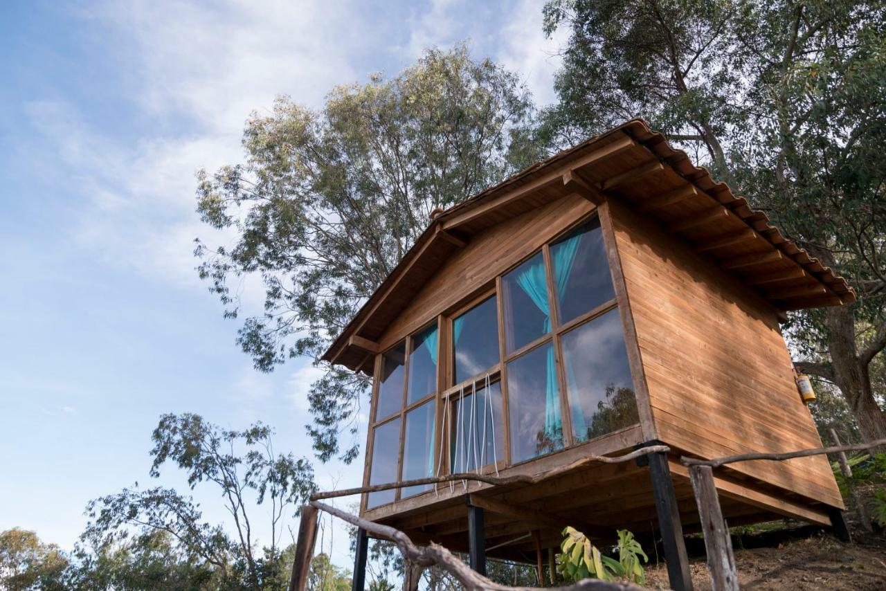 Bacoa Hostel Guatapé Eksteriør bilde
